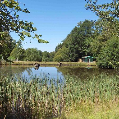 Chambres D'Hotes Le Chalet Condat-sur-Vienne Exterior foto